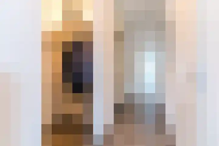 Linze 24 A Geldrop thumbnail 23