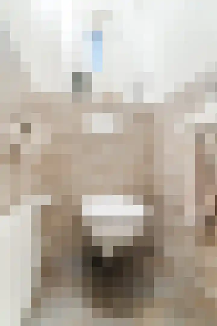 Linze 24 A Geldrop thumbnail 24