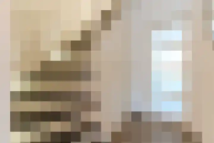 Linze 24 A Geldrop thumbnail 26