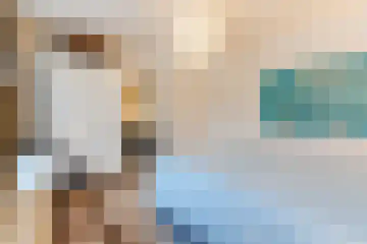 Linze 24 A Geldrop thumbnail 29