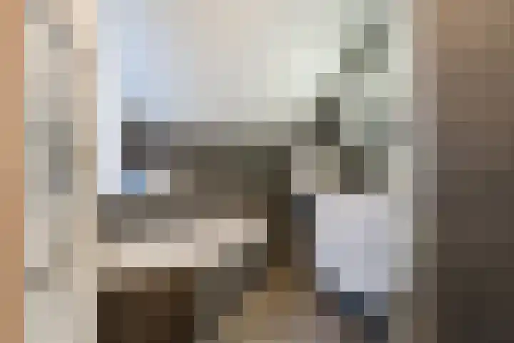 Linze 24 A Geldrop thumbnail 36
