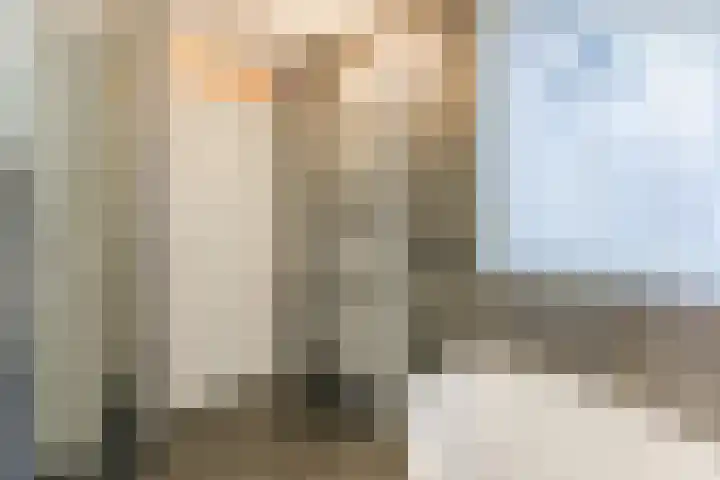 Linze 24 A Geldrop thumbnail 37