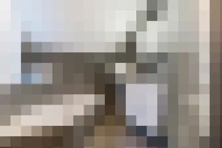 Linze 24 A Geldrop thumbnail 4
