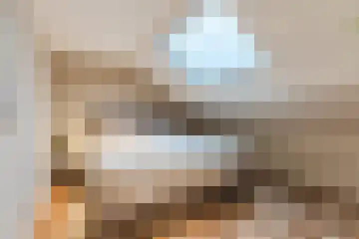 Linze 24 A Geldrop thumbnail 44