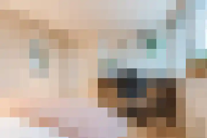 Linze 24 A Geldrop thumbnail 45