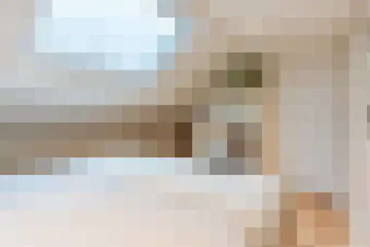 Linze 24 A Geldrop thumbnail 47