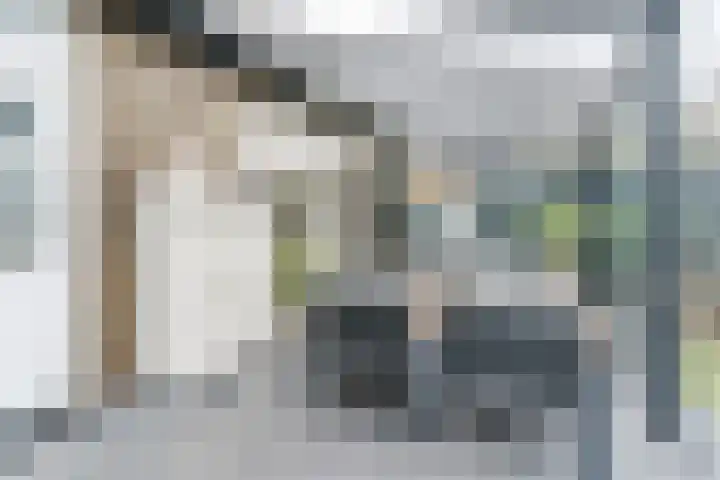 Linze 24 A Geldrop thumbnail 51