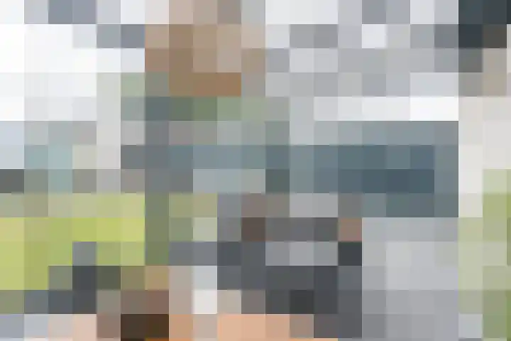 Linze 24 A Geldrop thumbnail 52