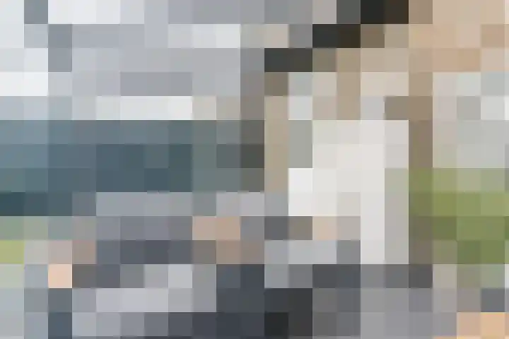 Linze 24 A Geldrop thumbnail 53