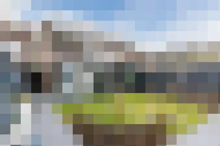 Linze 24 A Geldrop thumbnail 54