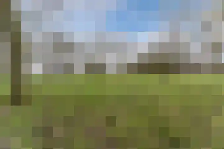 Linze 24 A Geldrop thumbnail 62