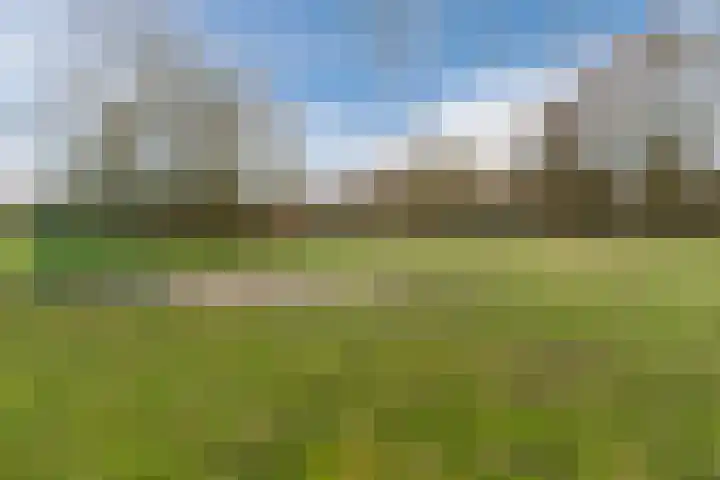 Linze 24 A Geldrop thumbnail 63