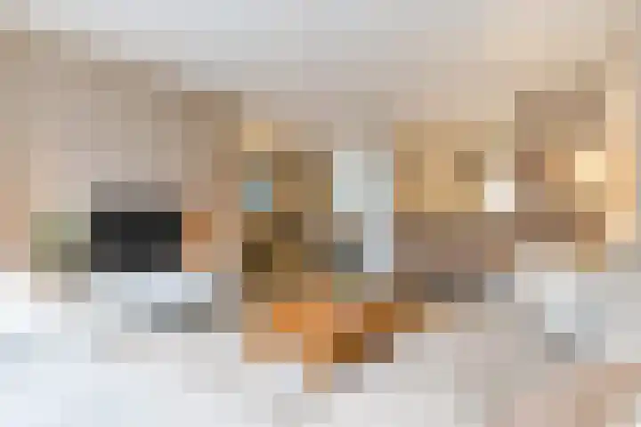 Linze 24 A Geldrop thumbnail 8