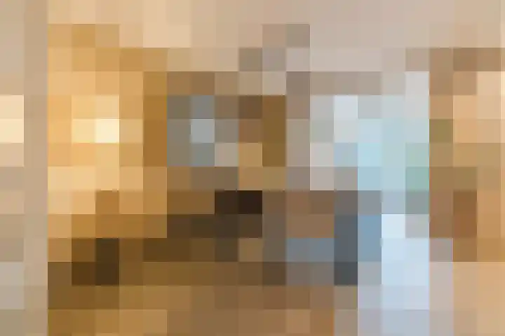 Linze 24 A Geldrop thumbnail 9