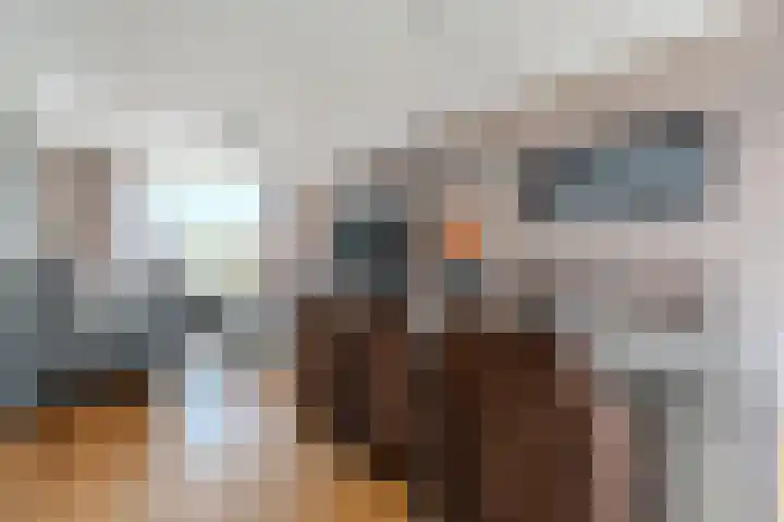 Linze 32 Geldrop thumbnail 13