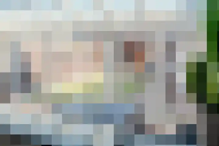 Linze 32 Geldrop thumbnail 17