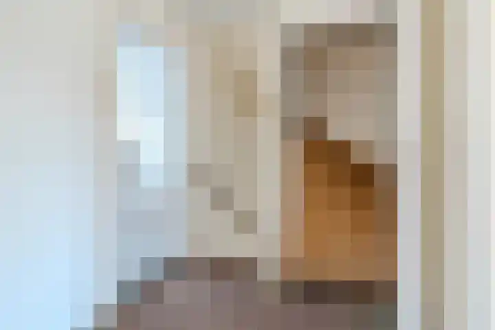Linze 32 Geldrop thumbnail 23