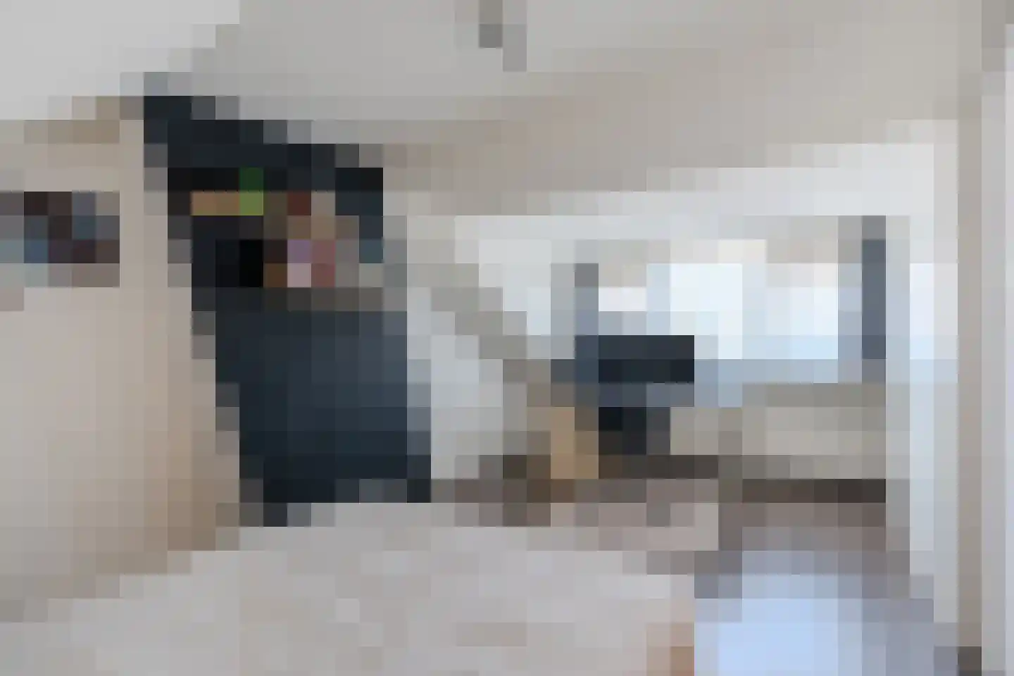 Linze 32 Geldrop thumbnail 33