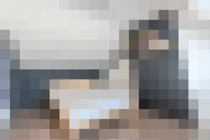 Linze 32 Geldrop thumbnail 35