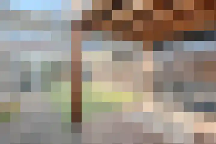 Linze 32 Geldrop thumbnail 42