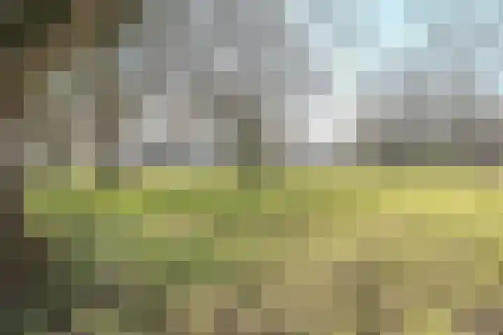 Linze 32 Geldrop thumbnail 49