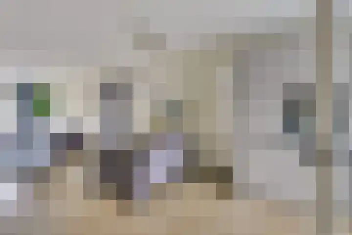 Linze 5 Ruurlo thumbnail 10