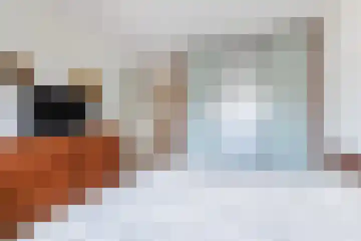 Linze 5 Ruurlo thumbnail 18