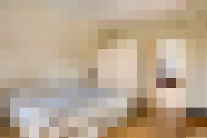 Linze 5 Ruurlo thumbnail 21