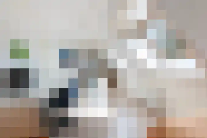 Linze 5 Ruurlo thumbnail 25