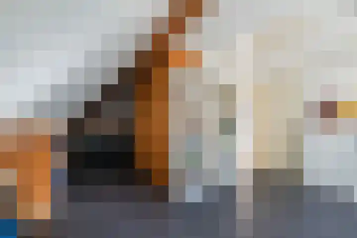 Linze 5 Ruurlo thumbnail 28