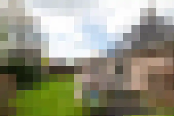 Linze 5 Ruurlo thumbnail 30
