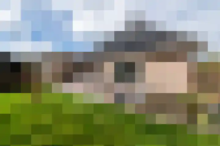 Linze 5 Ruurlo thumbnail 31