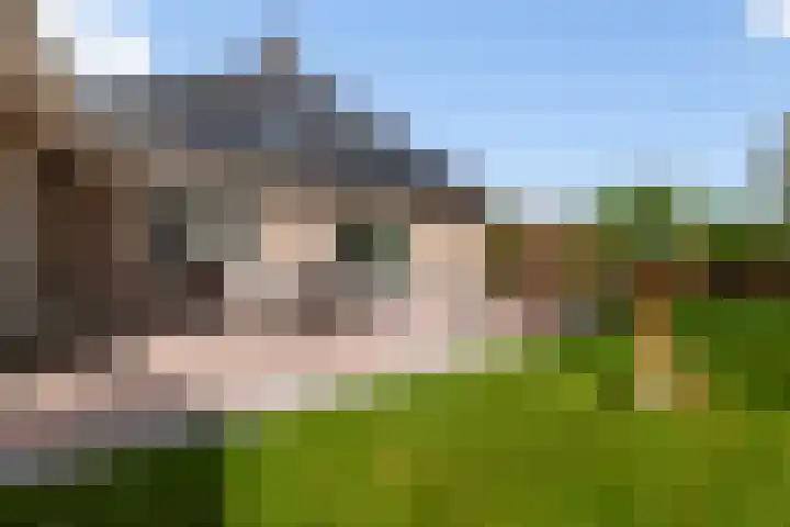 Linze 5 Ruurlo thumbnail 35