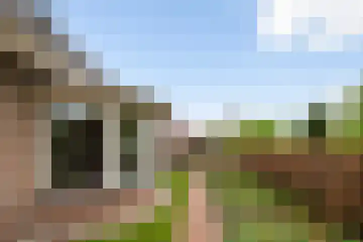 Linze 5 Ruurlo thumbnail 36