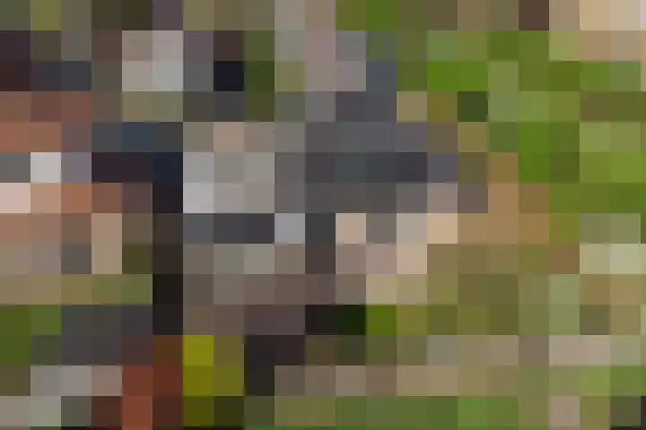 Linze 5 Ruurlo thumbnail 4