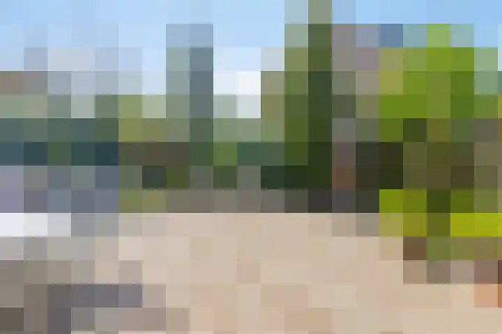 Linze 5 Ruurlo thumbnail 9