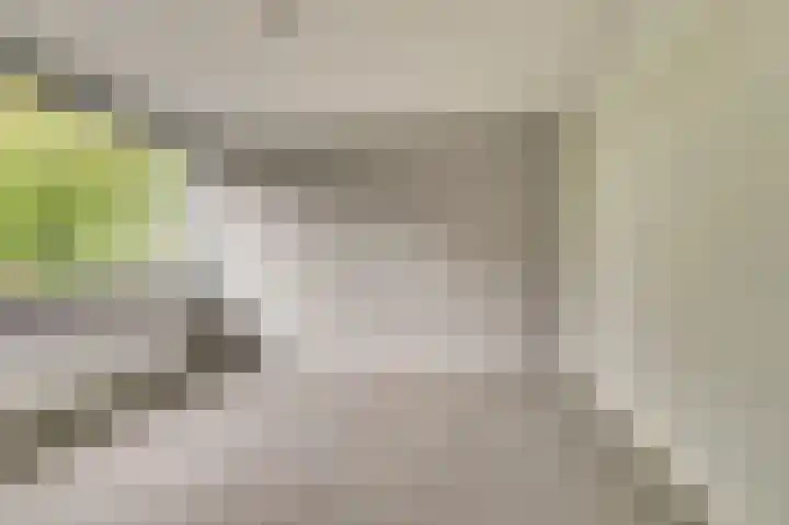 Linzen-oord 13 Houten thumbnail 15