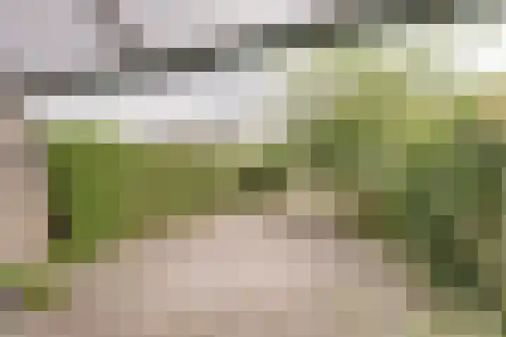Linzen-oord 13 Houten thumbnail 23