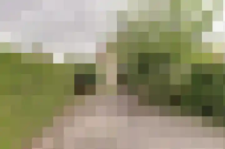 Linzen-oord 13 Houten thumbnail 24
