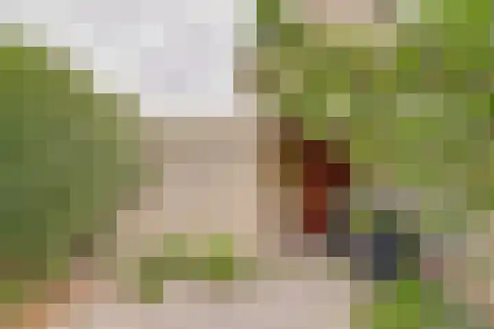 Linzen-oord 13 Houten thumbnail 25