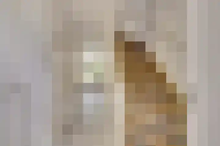 Linzen-oord 13 Houten thumbnail 4