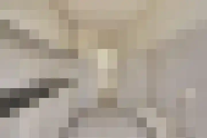 Linzen-oord 13 Houten thumbnail 8