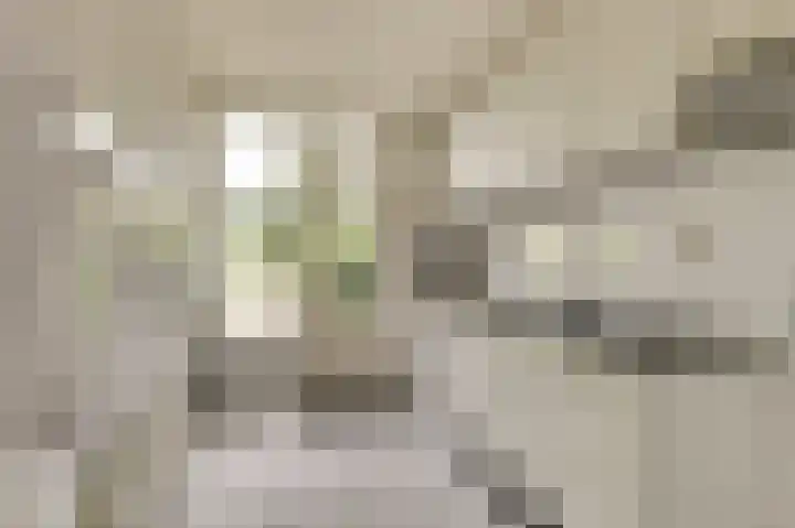 Linzen-oord 13 Houten thumbnail 9