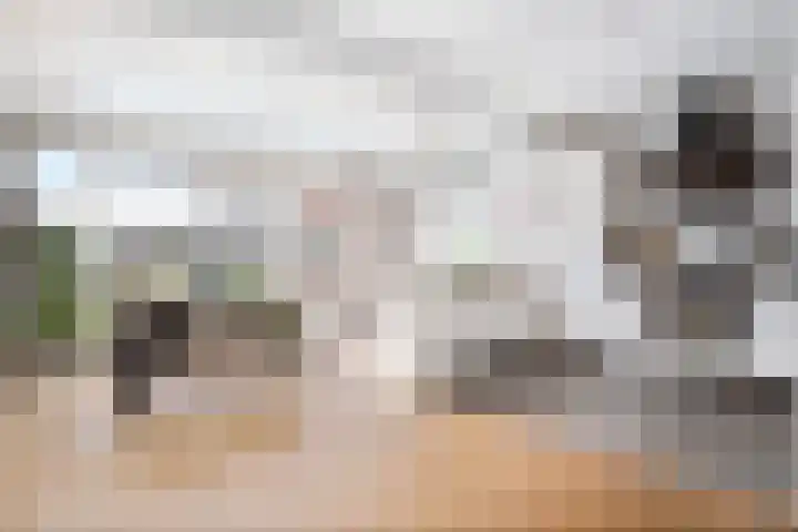 Linzen-oord 76 Houten thumbnail 14