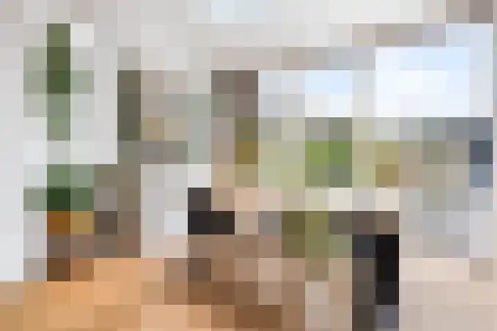 Linzen-oord 76 Houten thumbnail 15