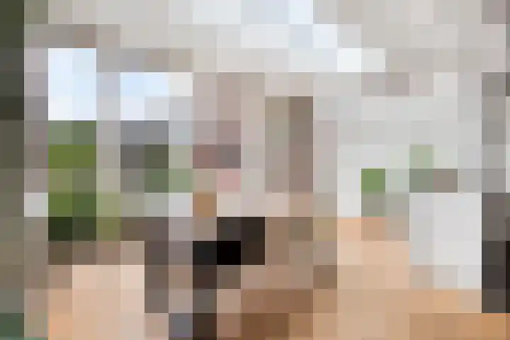 Linzen-oord 76 Houten thumbnail 18