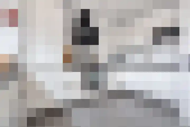 Linzen-oord 76 Houten thumbnail 23