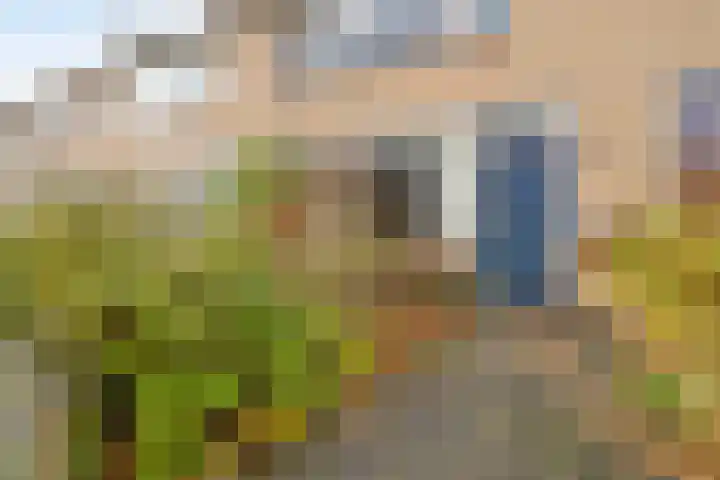 Linzen-oord 76 Houten thumbnail 4