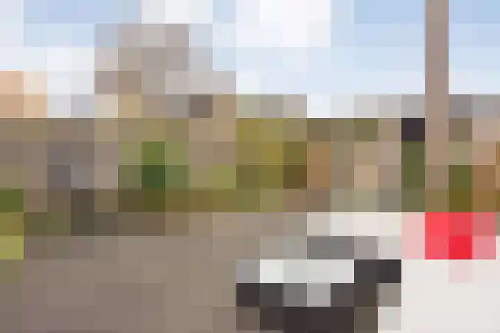 Linzen-oord 76 Houten thumbnail 48