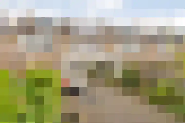 Linzen-oord 76 Houten thumbnail 49